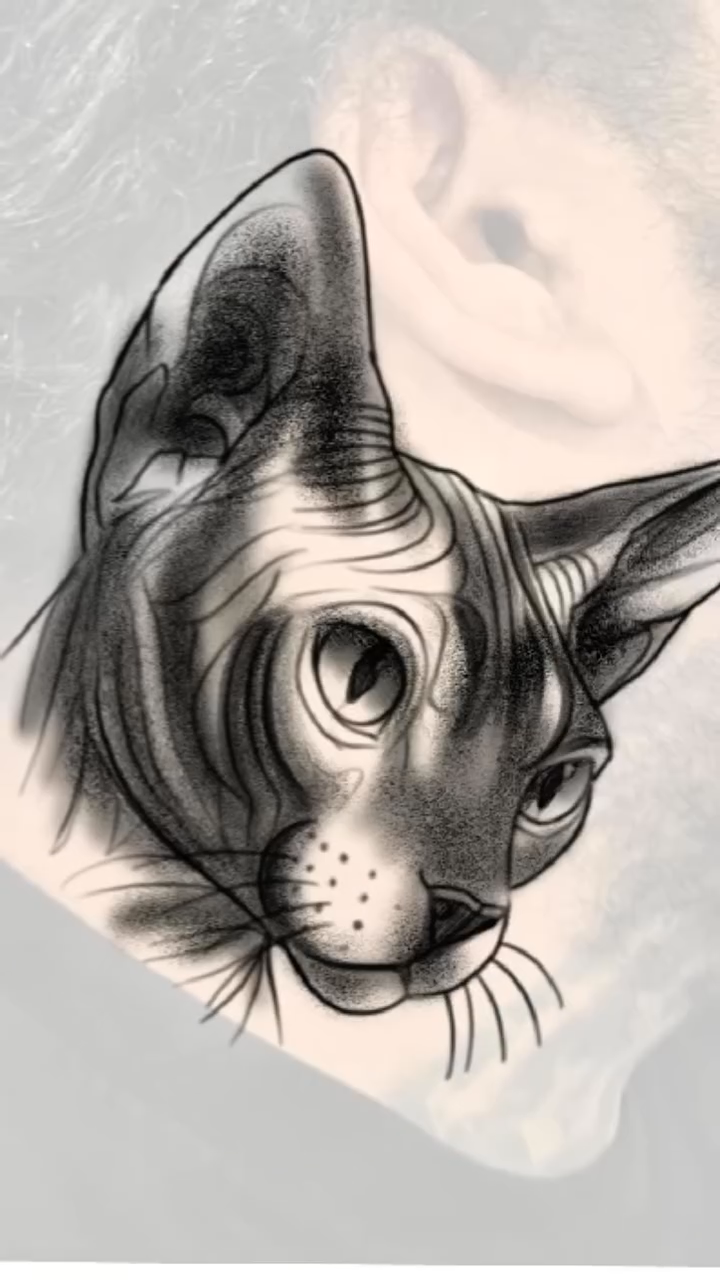 Sphynx cat portrait realism tattoo by Javier Rivera