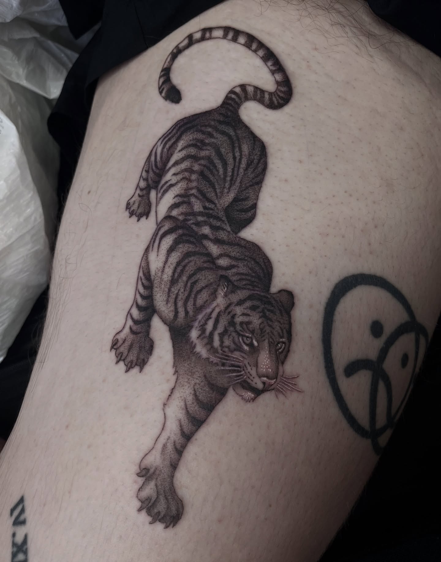 Tiger realism tattoo on the thigh by ๐๐๐๐๐๐๐