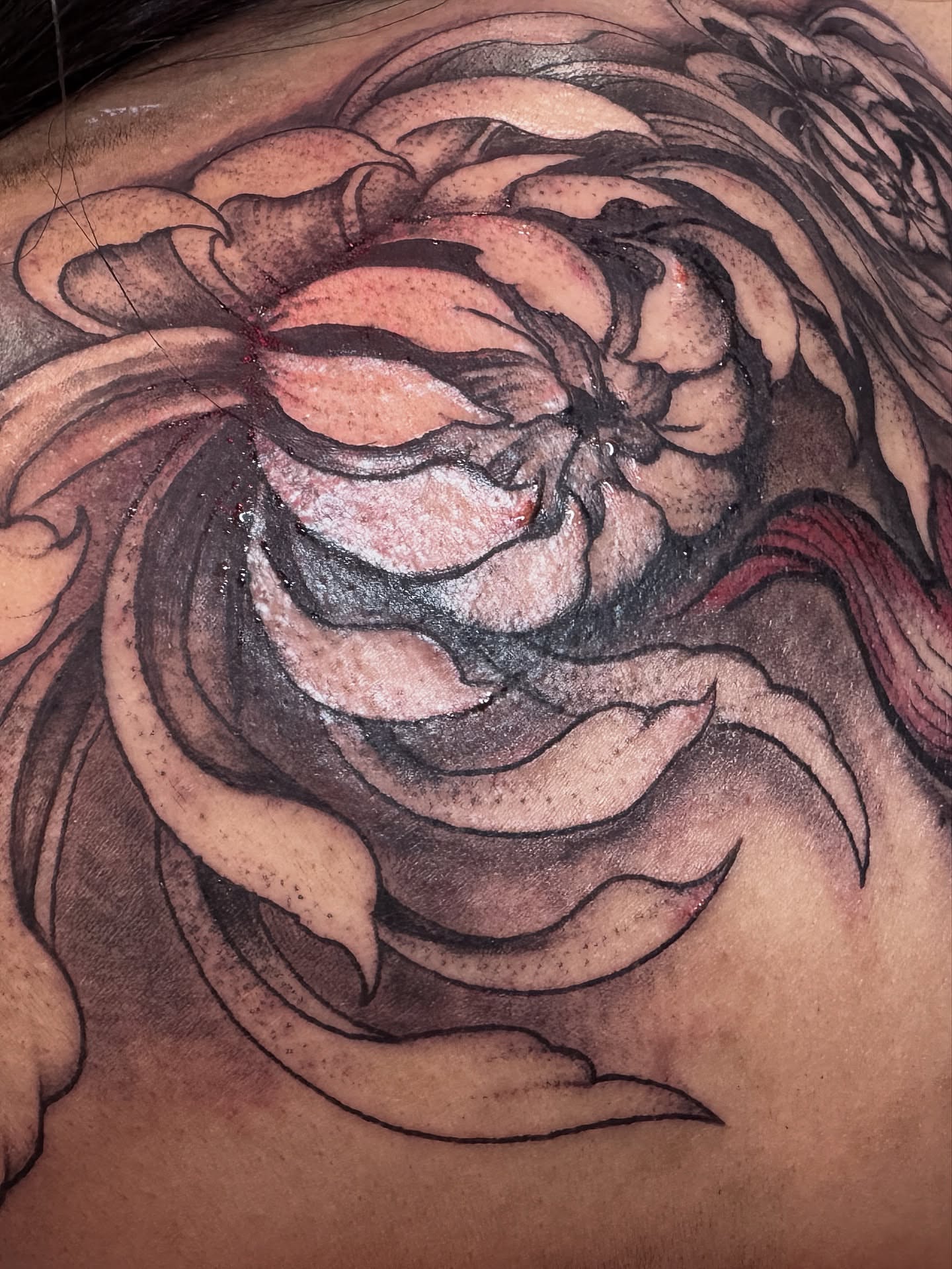 Flower black and grey tattoo on the back by Christa Martinez