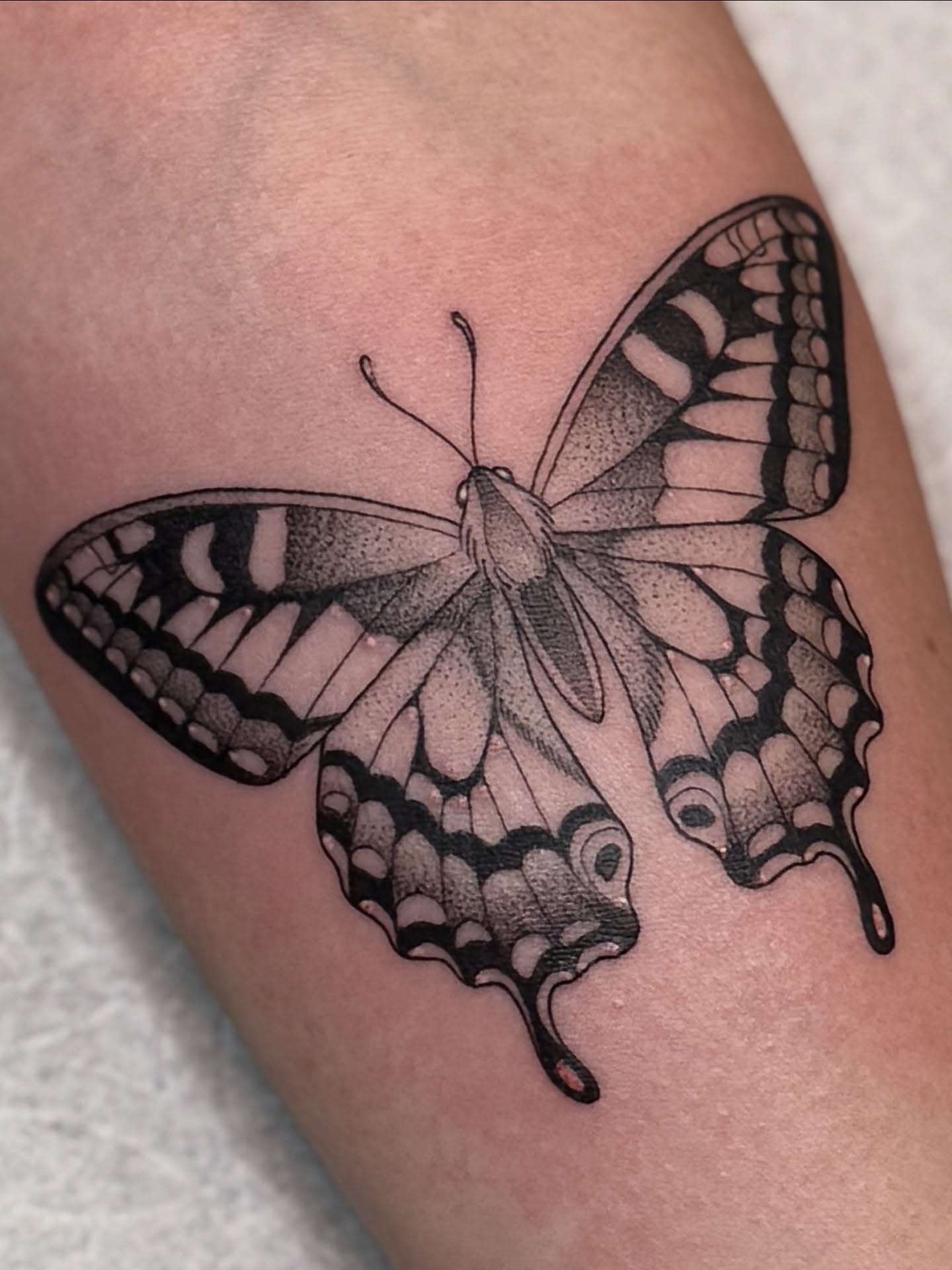 Tattoo by @deerbatstats — black_and_grey