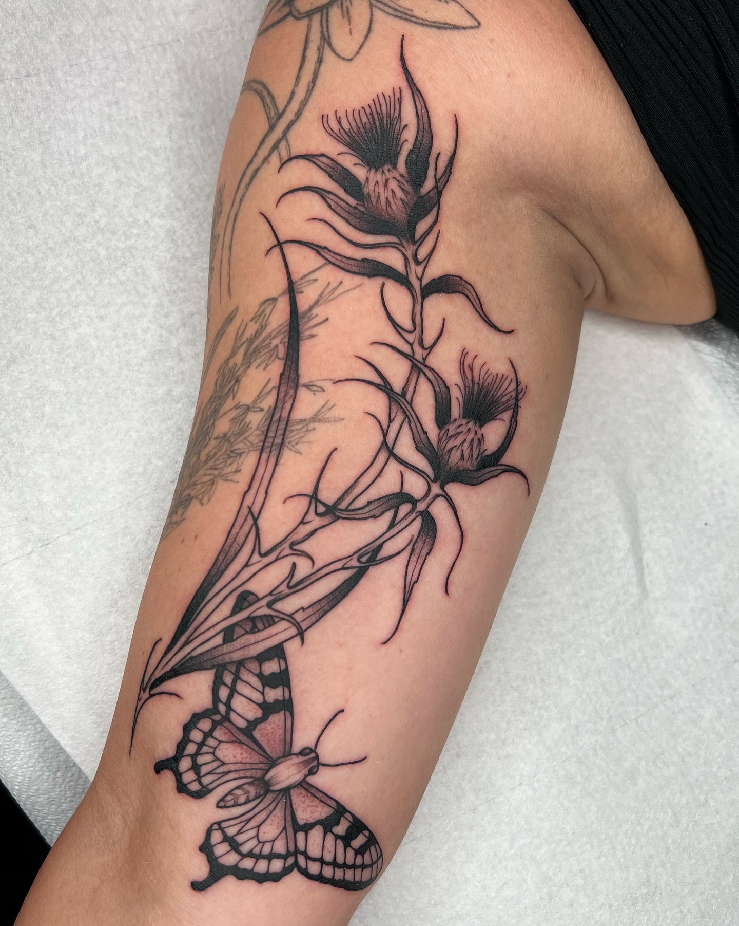 Thistle and butterfly realism tattoo on the forearm by 𝔐𝔦𝔠𝔥𝔢𝔩𝔩𝔢 ℭ𝔥𝔞𝔪𝔢𝔯𝔩𝔦𝔨