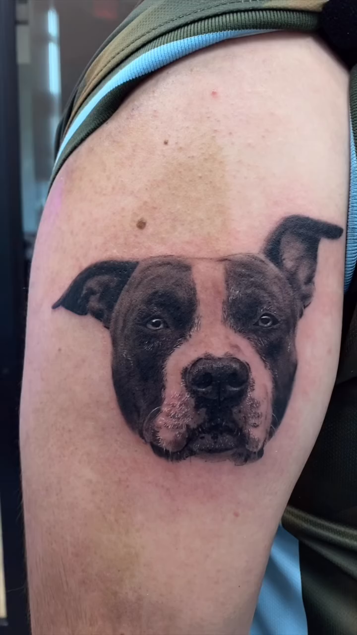 Dog portrait realism tattoo by Jazz