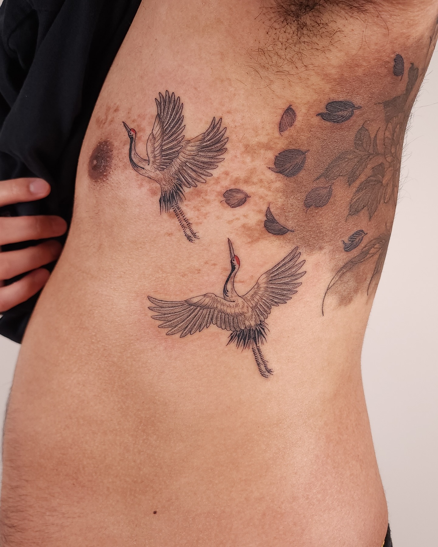 Cranes and leaves black and grey tattoo on the ribs by ๐ฏ๐๐๐๐ ๐ท๐๐๐๐