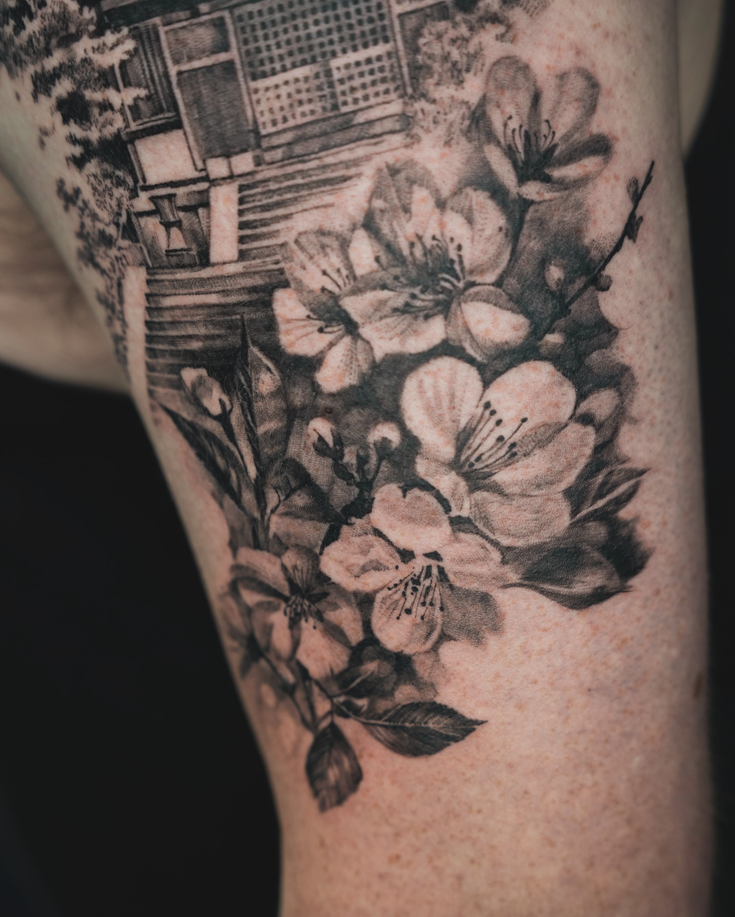 Cherry blossoms black and grey tattoo on the forearm by Tri
