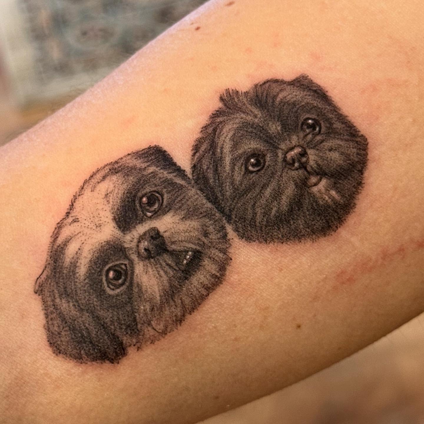Two dogs realism tattoo on the forearm by Sarah Seveney