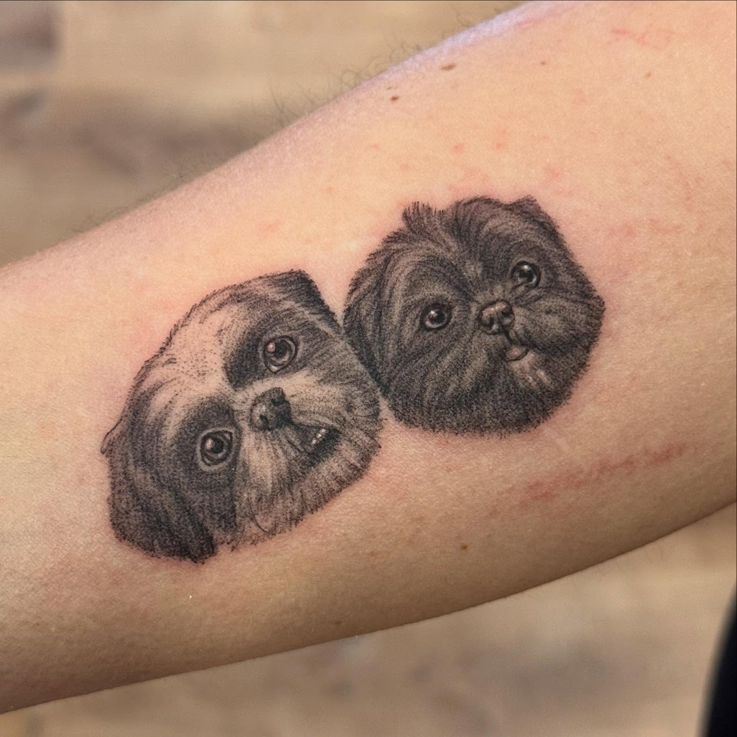 Tattoo by @sevtattoos — realism