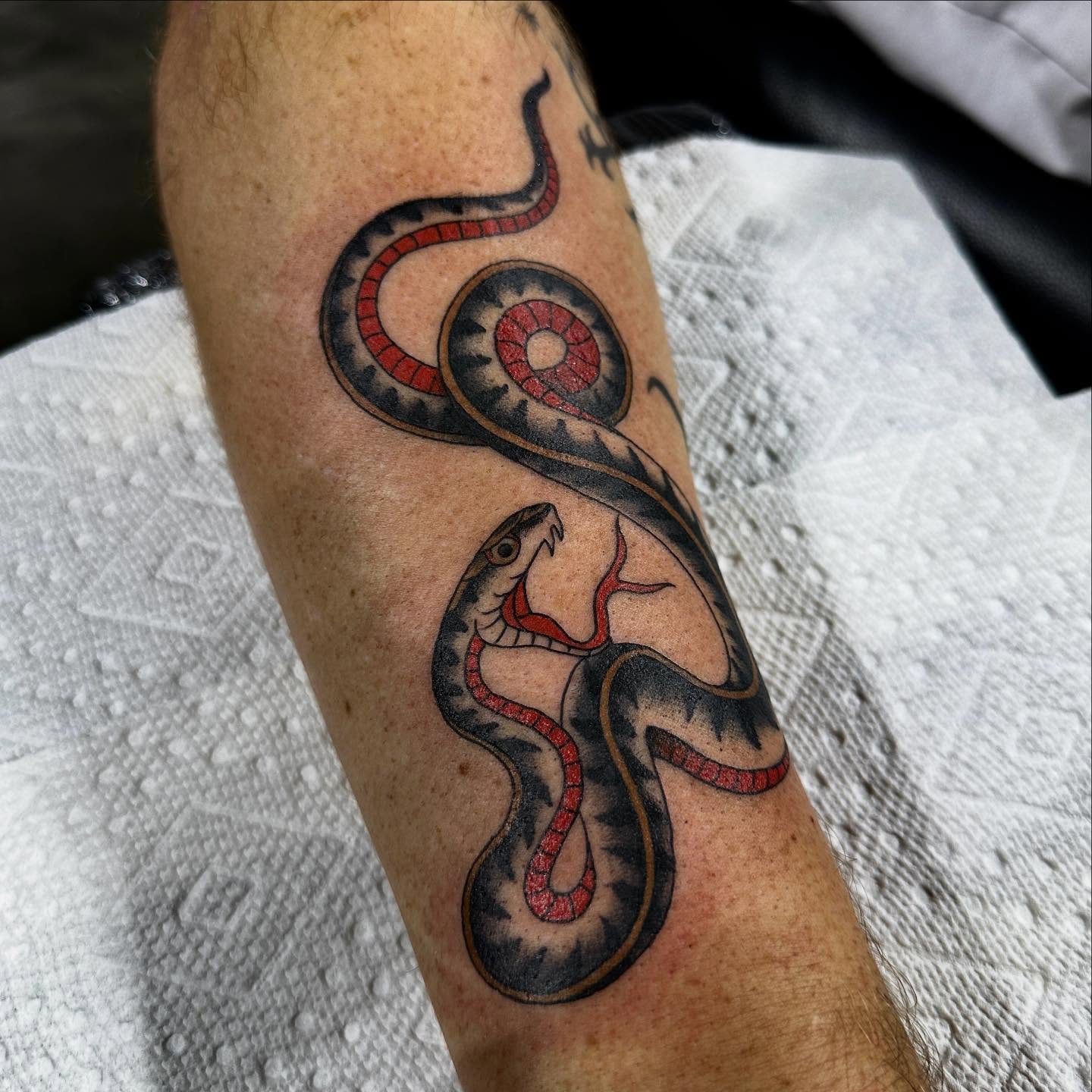 Tattoo by @samavitia — american_traditional