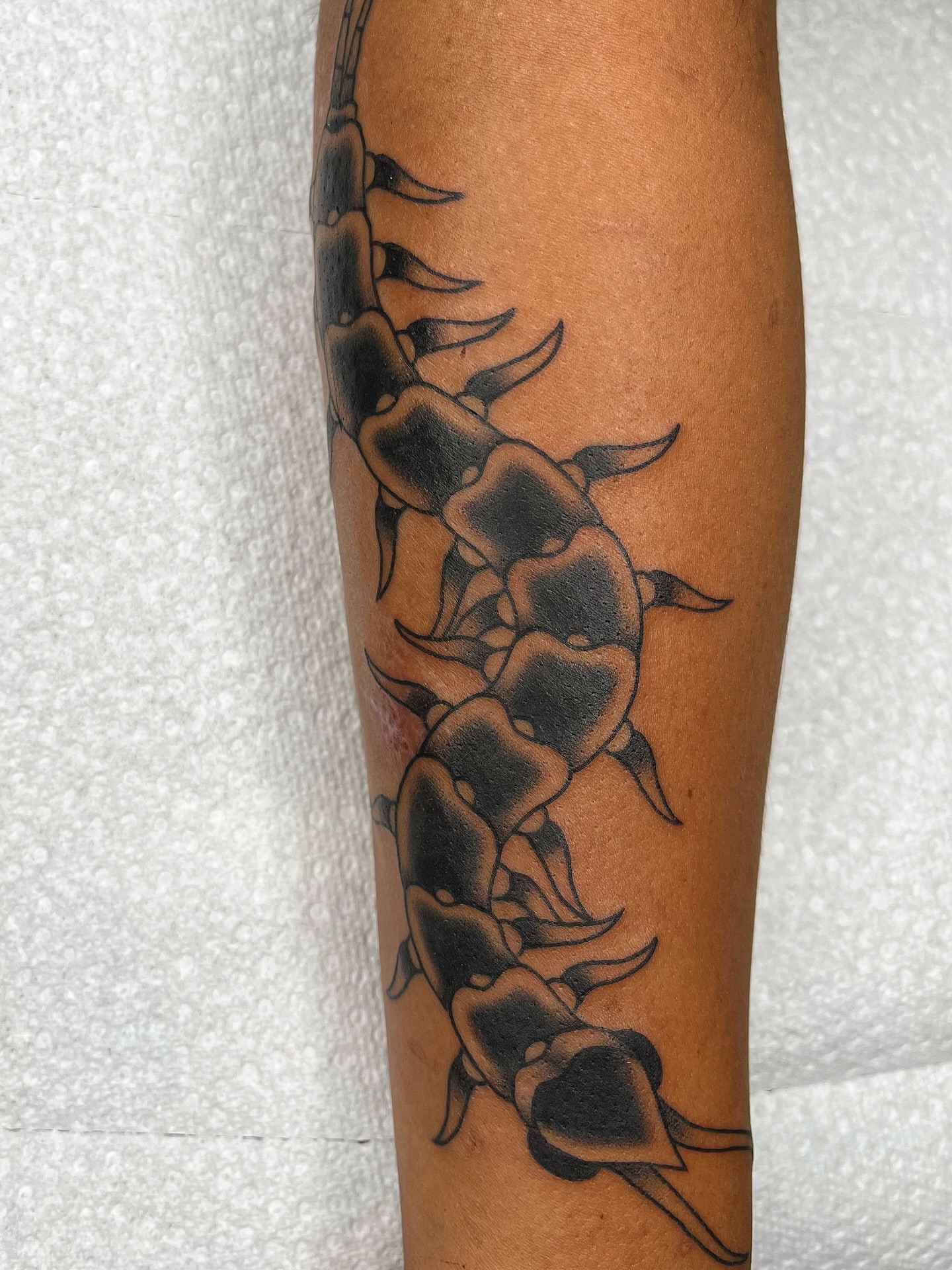 Centipede black and grey tattoo on the forearm by Pedroux M.