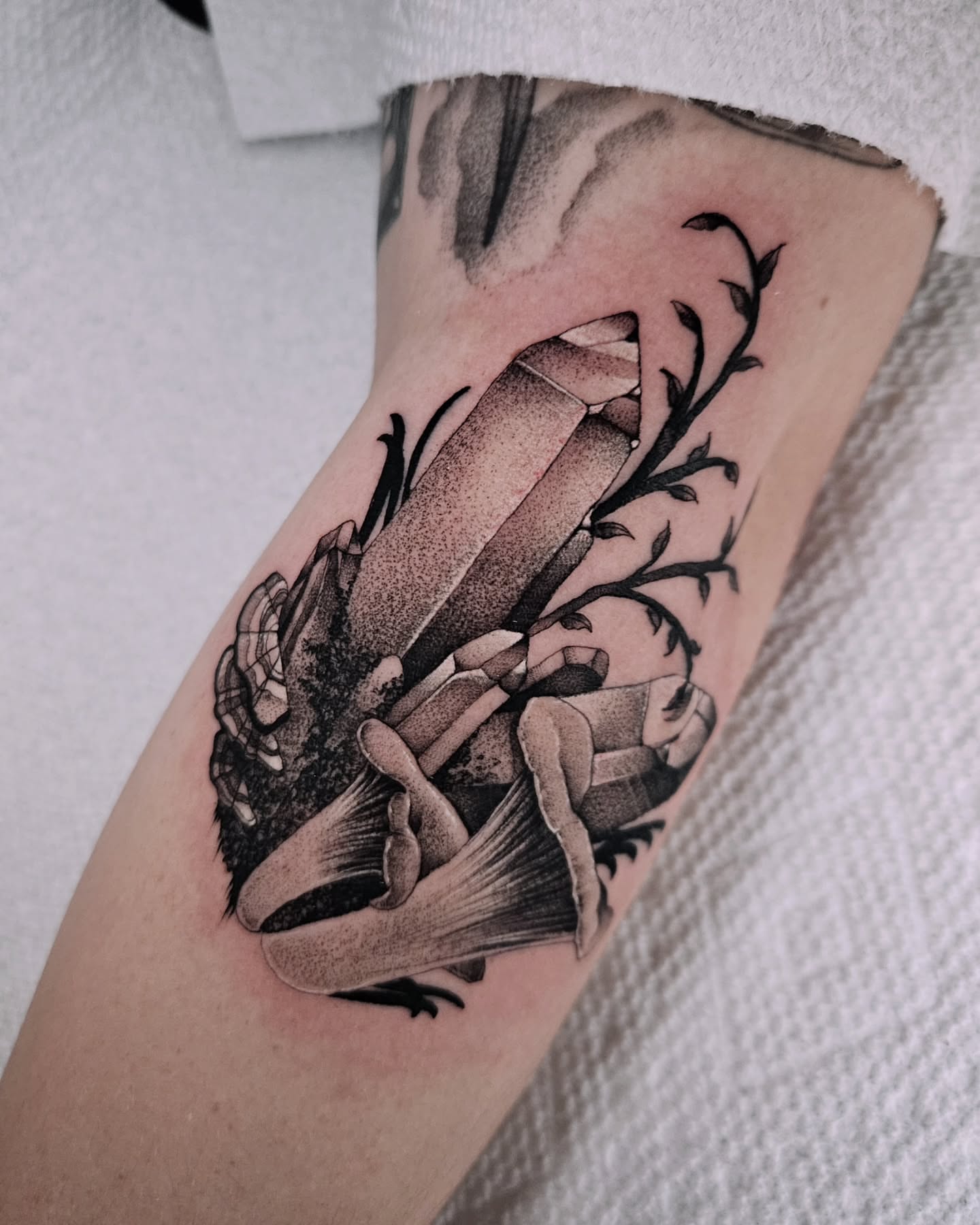 Crystal and plant dotwork tattoo on the forearm by Sabrina Wagner