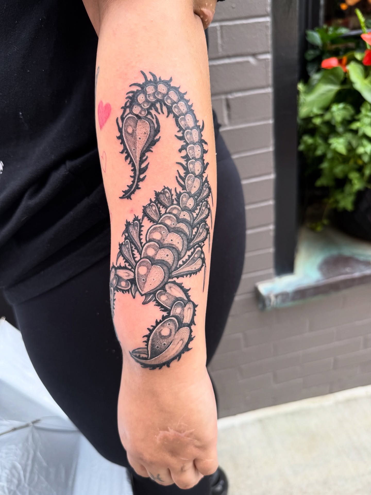Tattoo by @db_atlas — black_and_grey