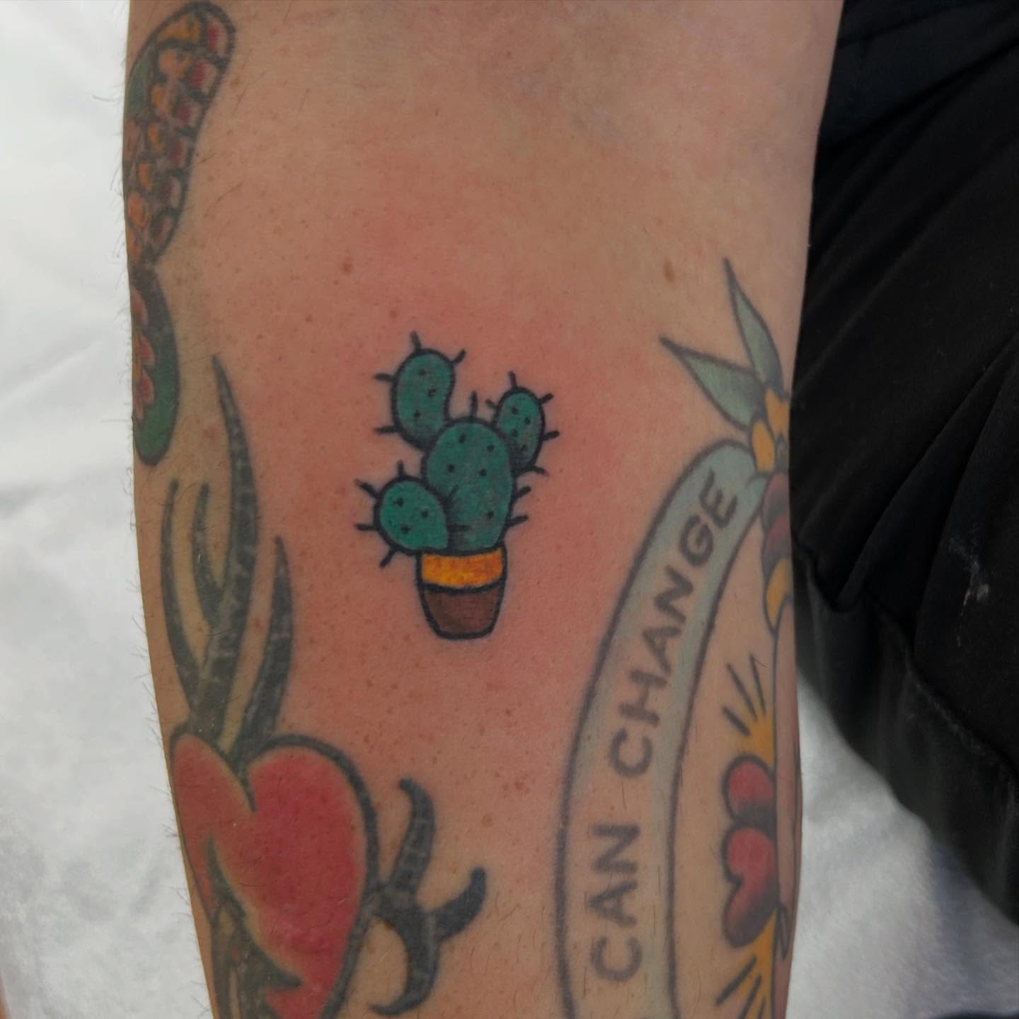 Cactus new school tattoo on the forearm by Elizabeth Niederkorn