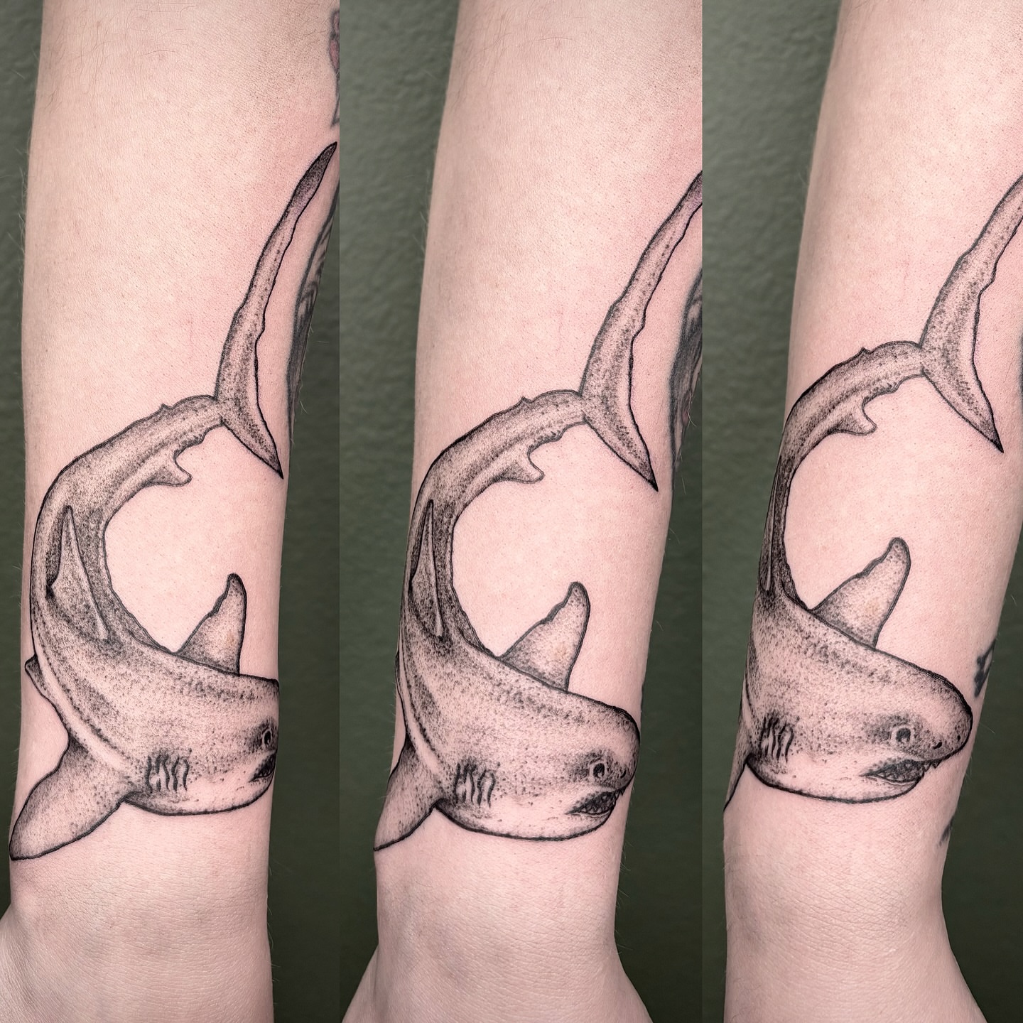 Shark dotwork tattoo on the forearm by Love 🥀 222