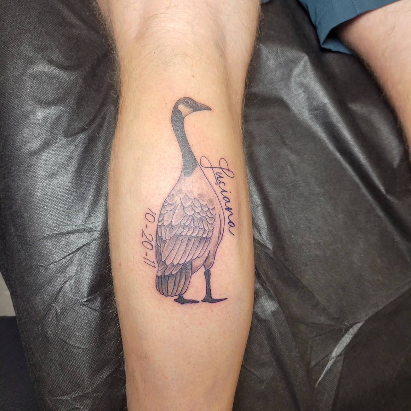 Goose realism tattoo on the forearm by Aspen C