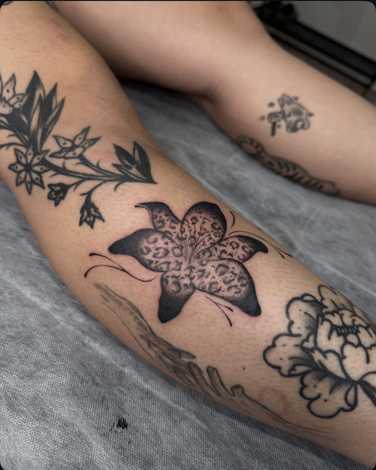 Lily black and grey tattoo on the forearm by 🗡Addie Kat🗡