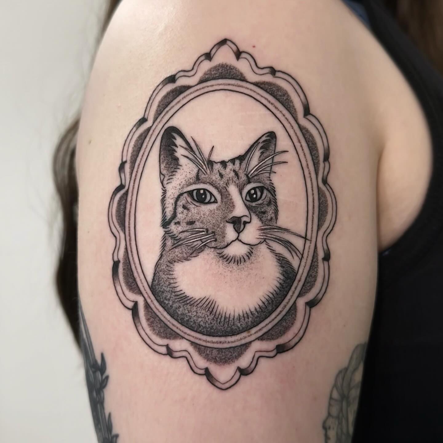 Cat dotwork tattoo on the shoulder by Sierra Hiddleson- Phoenix Arizona Tattoo