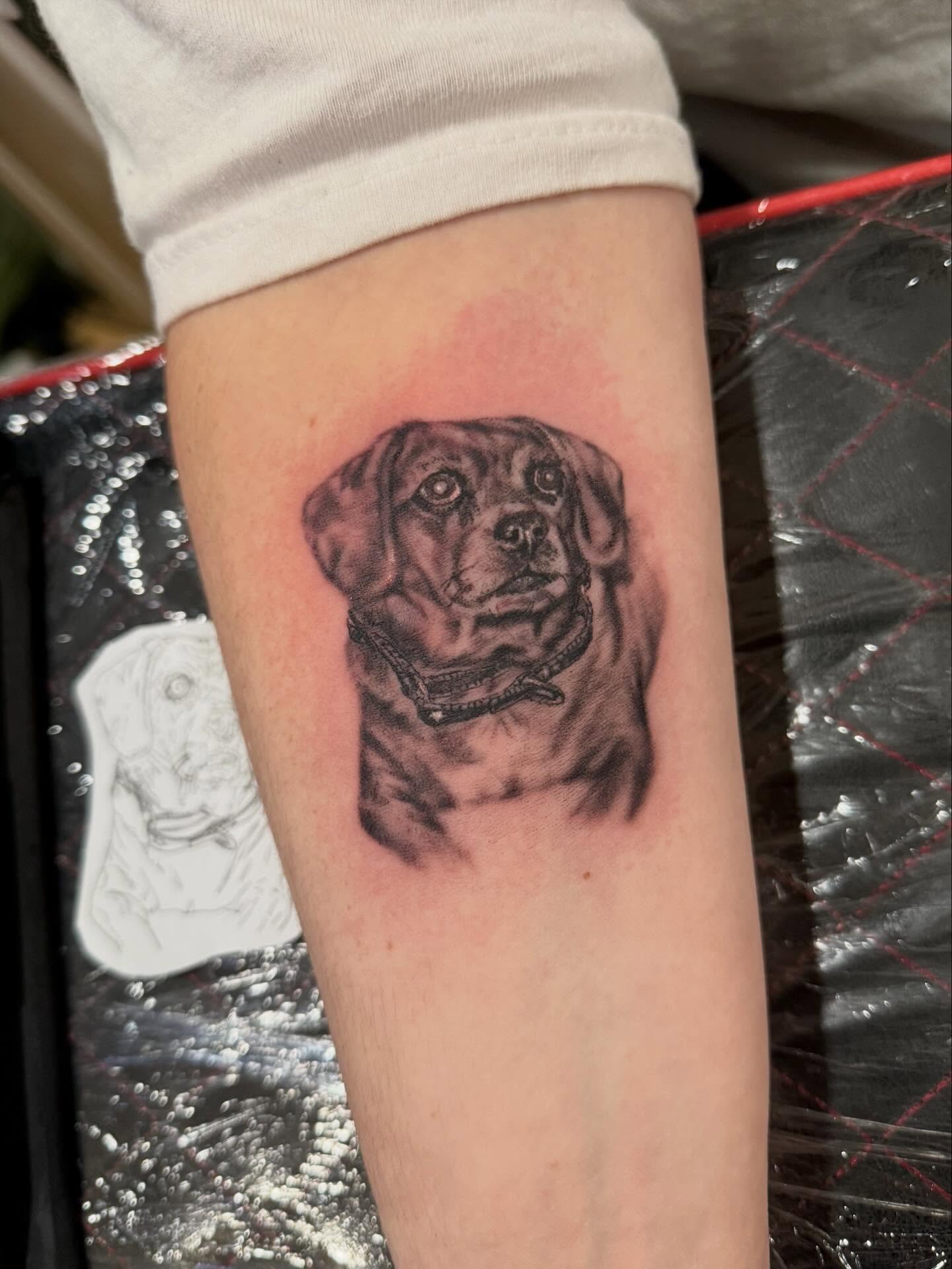 Dog realism tattoo on the forearm by Tyler Bolton