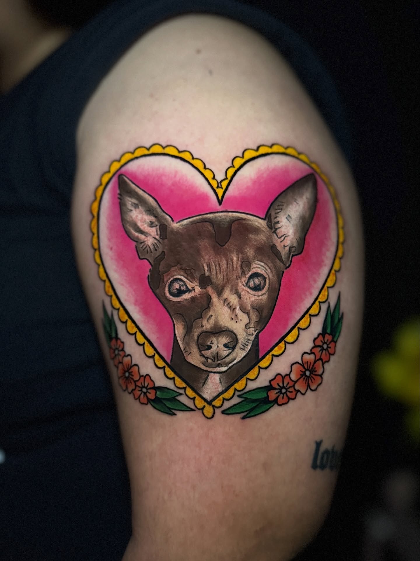 Dog portrait realism tattoo on the shoulder by Jackse π§πΌββοΈ Tattoos π§πΌββοΈ