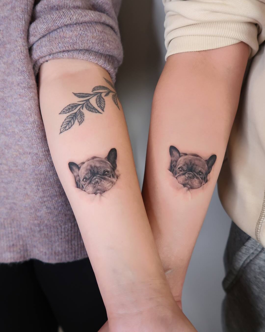 French bulldog realism tattoo on the forearm by Alissa Jung