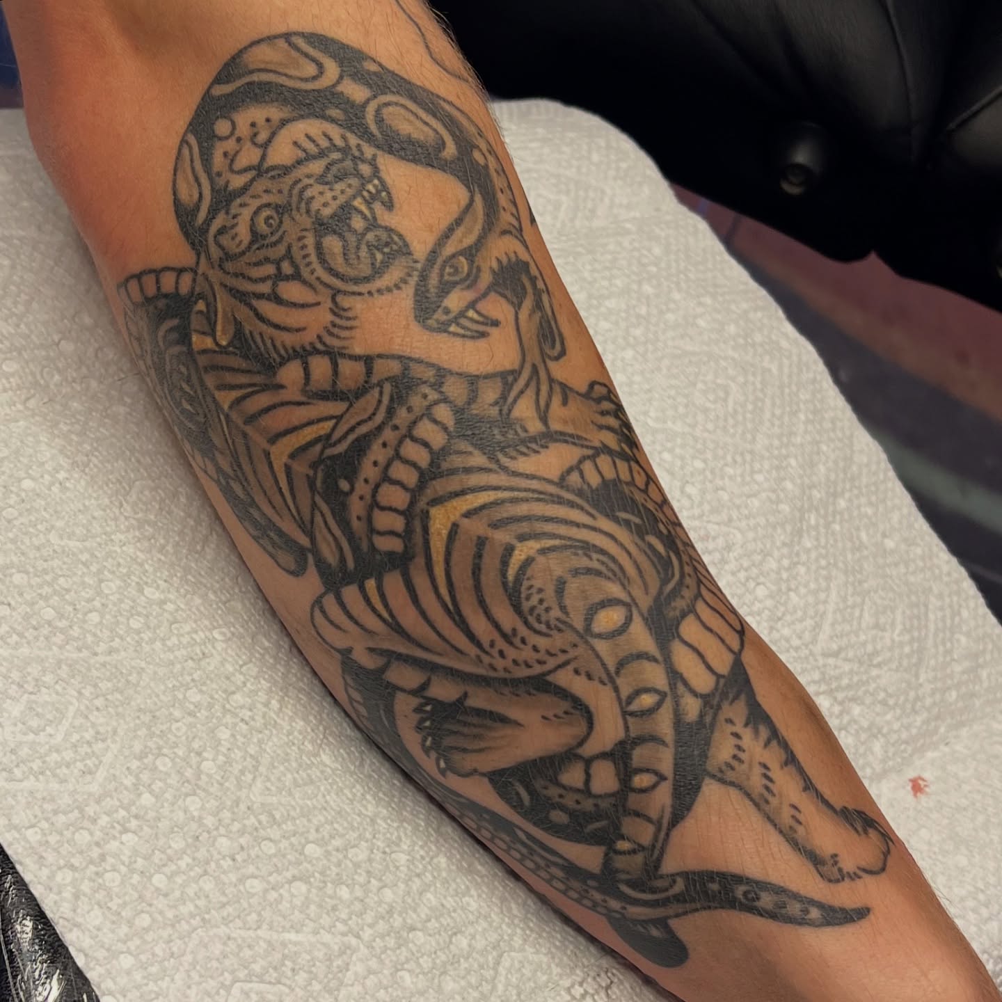 Tiger and dragon American traditional tattoo on the forearm by @brandonhuckabey, Denver, Colorado