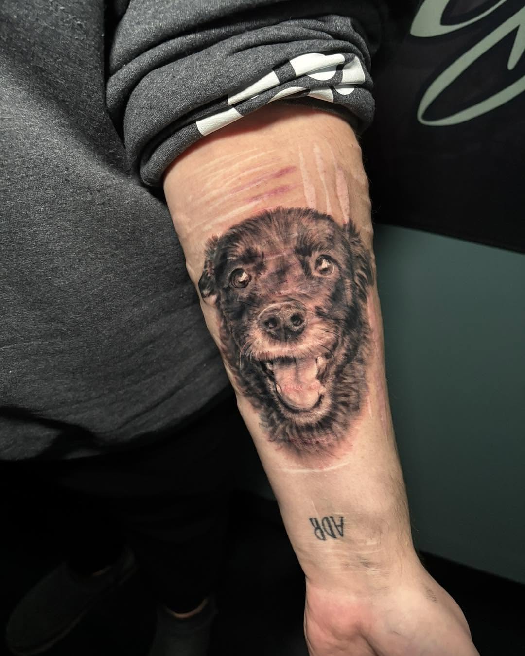 Dog realism tattoo on the forearm by Meg Mayhem ๐จ Sarenity Tattoo