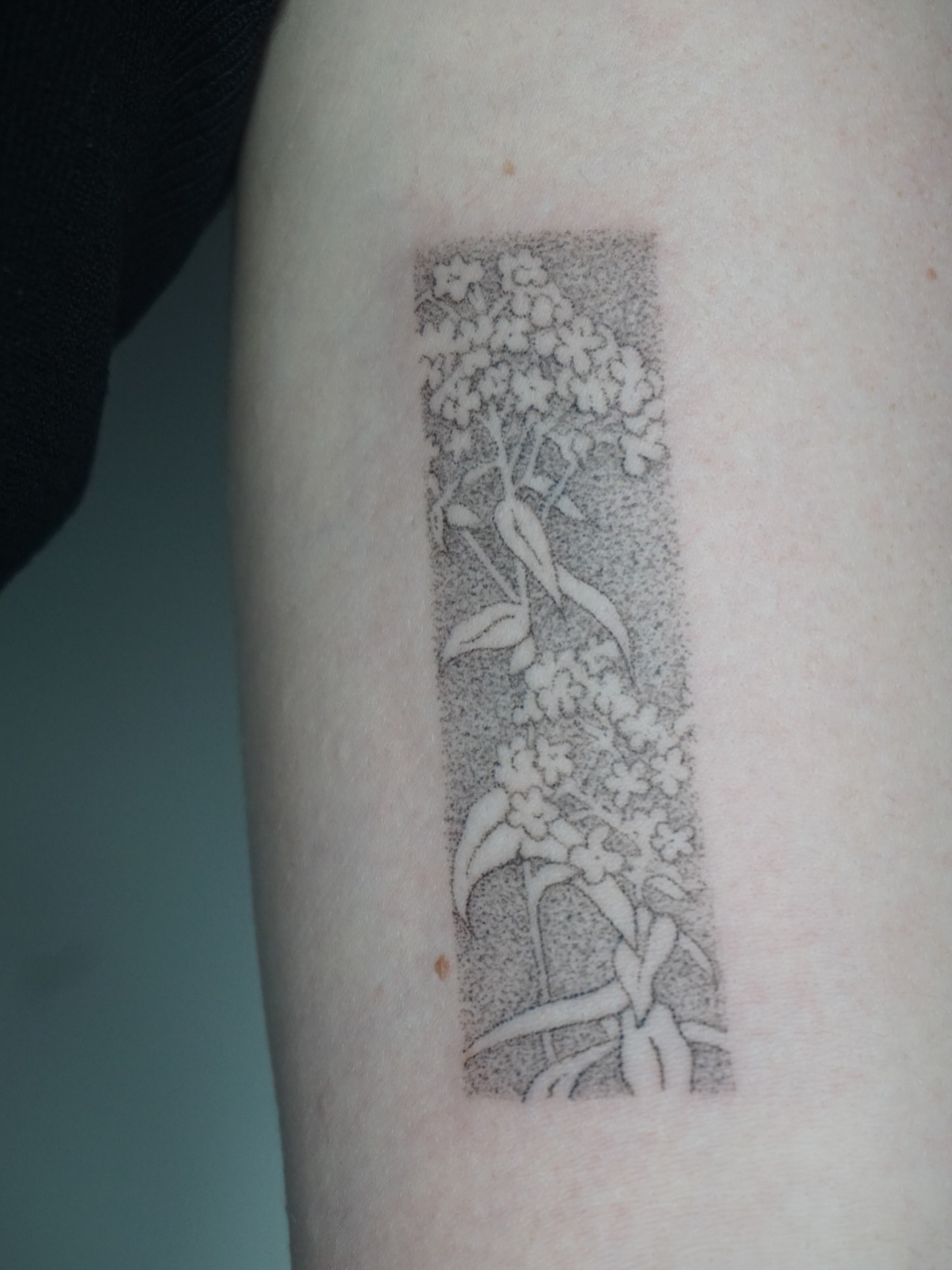 Tattoo by @texturemapping_ — dotwork