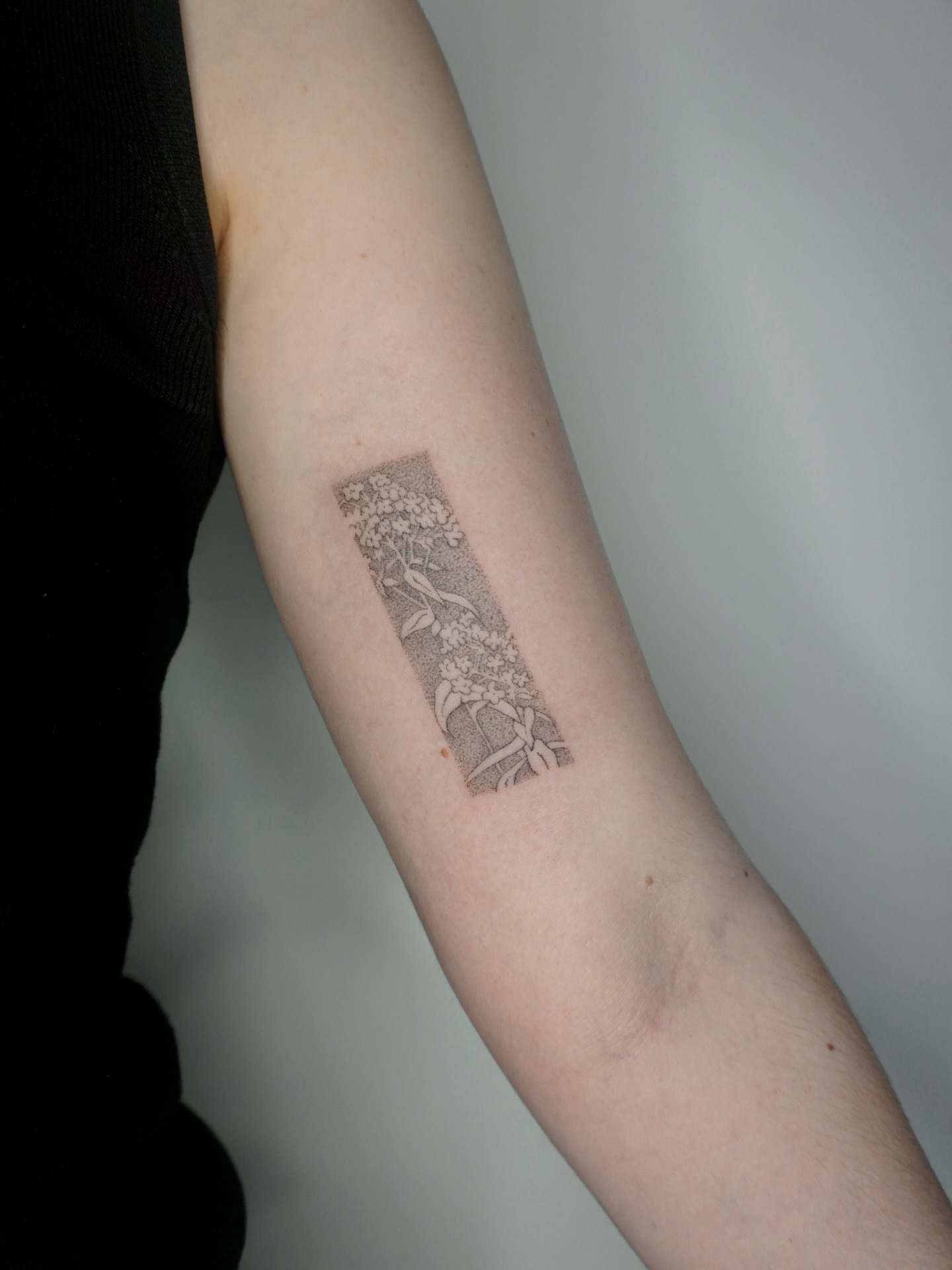 Tattoo by @texturemapping_ — dotwork