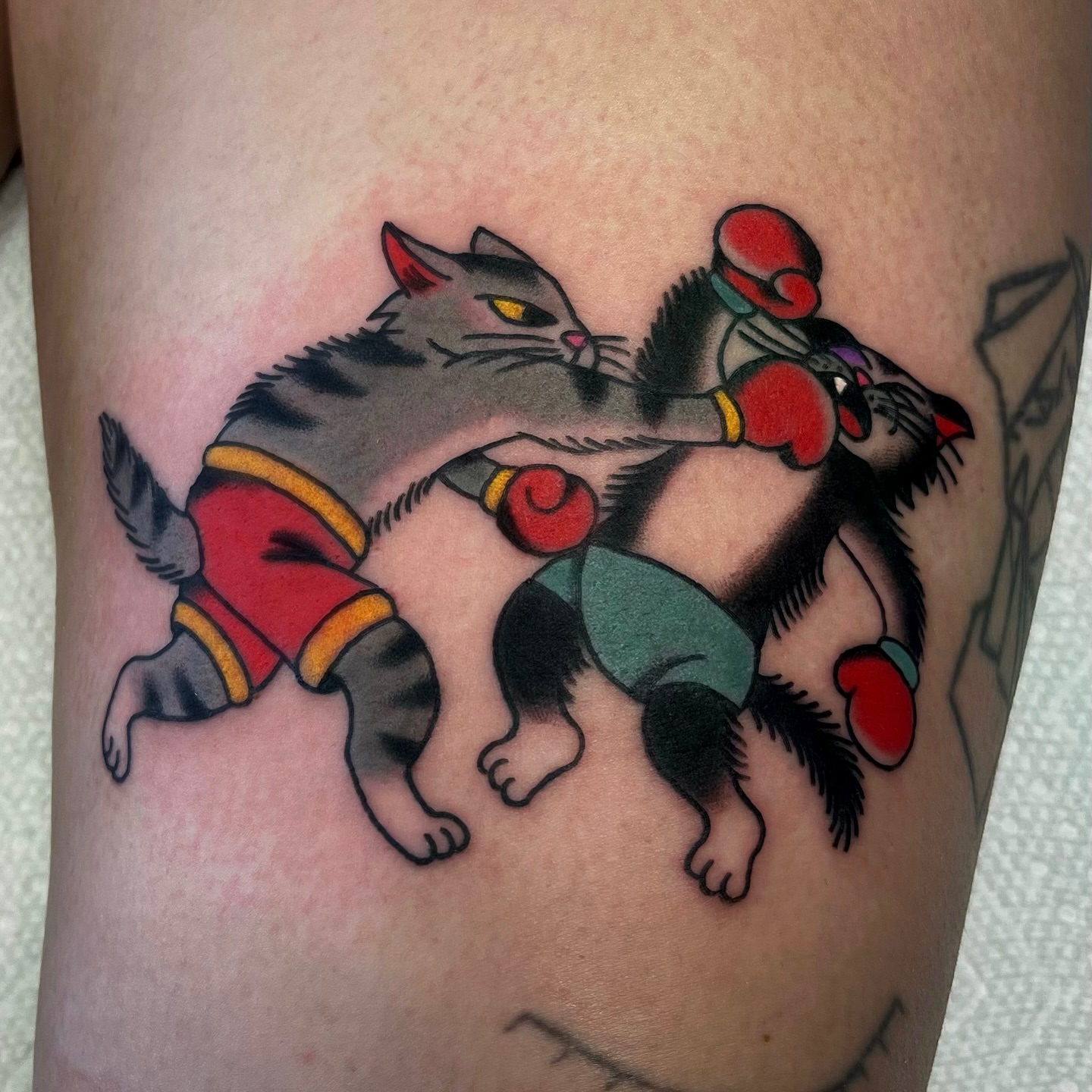Boxing cats American traditional tattoo on the thigh by Elizabeth Summers ❨・¨⬮ Traditional Tattoo