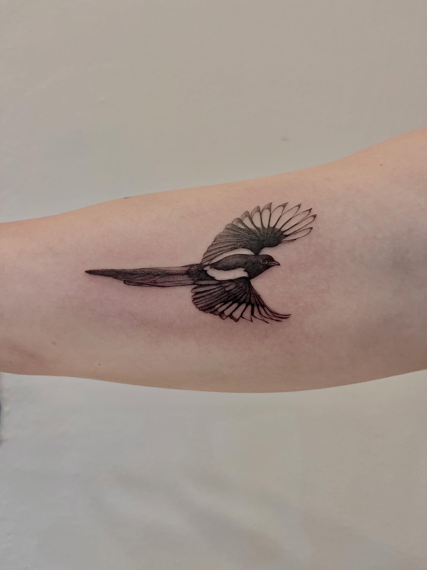 Tattoo by Kite.Tattoo_Amber, Chicago, IL