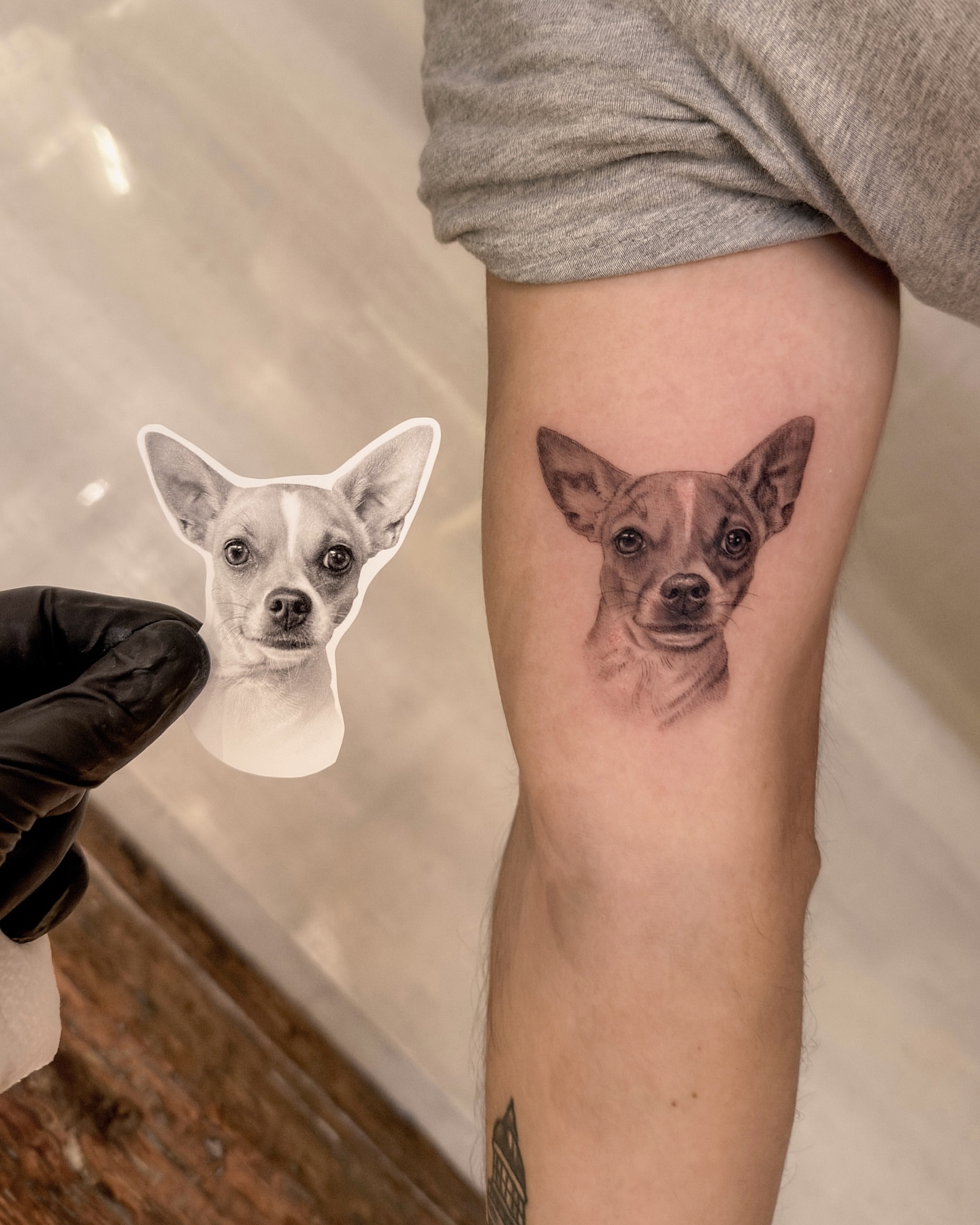 Dog realism tattoo on the forearm by Nicholas Solomon