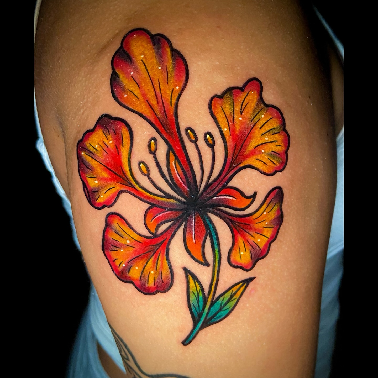 Tattoo by @figucciart — new_school, dotwork