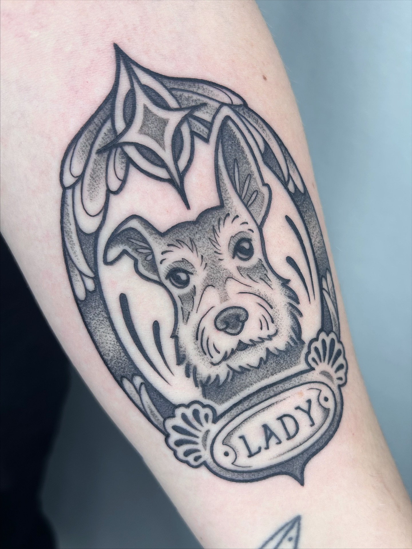 Dog black and grey tattoo on the forearm by Aaron Murray ✨ Michigan Tattoo Artist