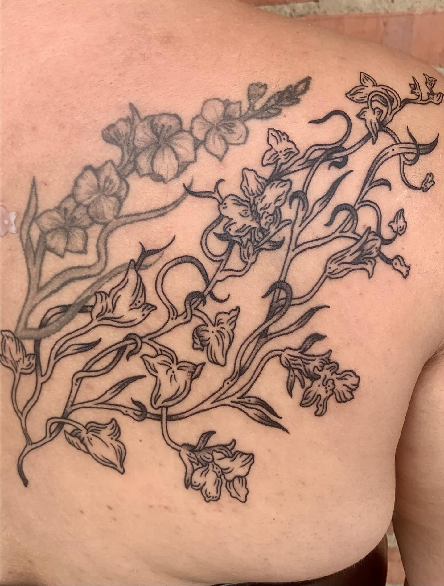 Flower vine black and grey tattoo on the back by jay