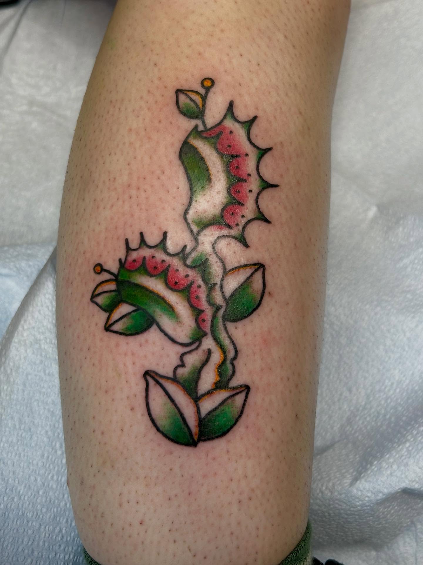 Cactus American traditional tattoo on the forearm by Lily May