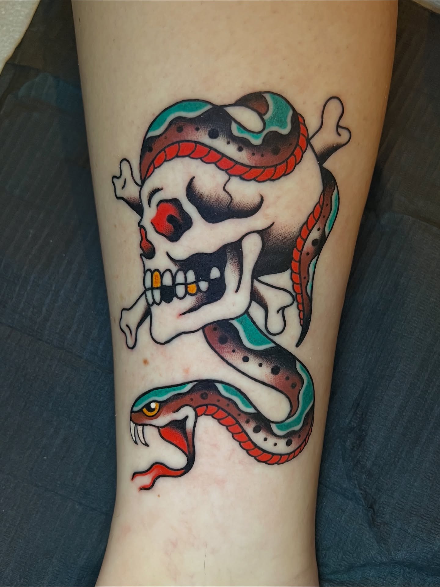 Skull and snake American traditional tattoo on the forearm by Michael Munter, Philadelphia, Pennsylvania