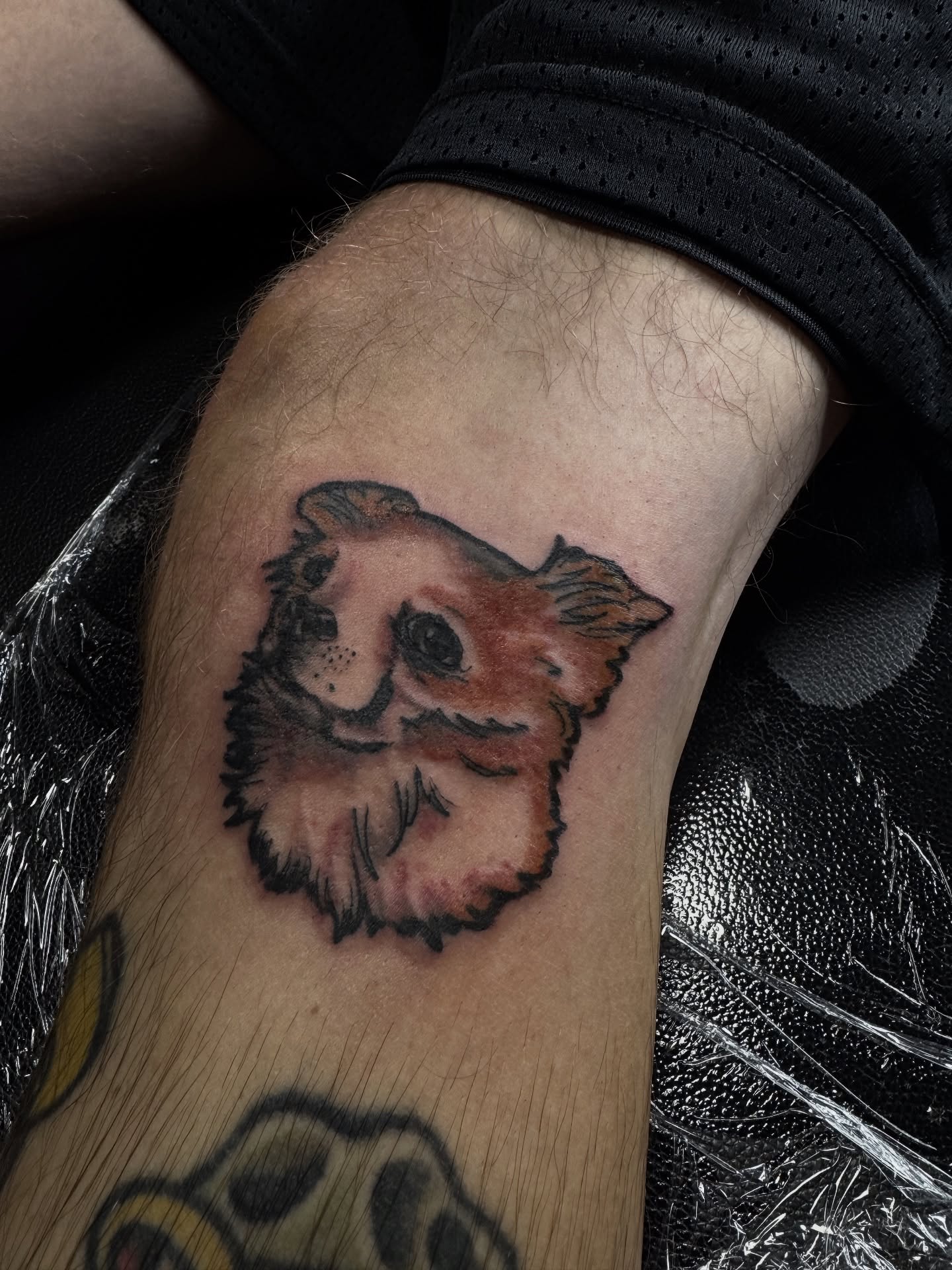 Tattoo by @sassafrastats — realism