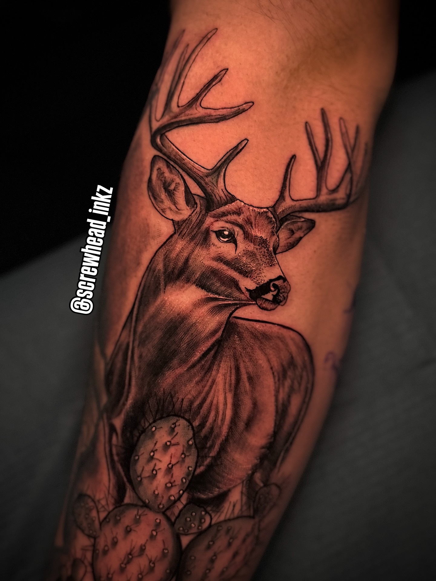 Deer and cactus realism tattoo on the forearm by Alex macoco, Houston, Texas