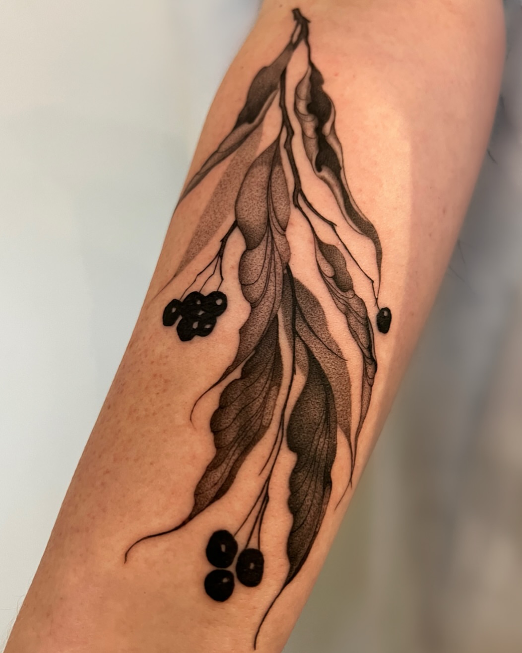 Berry cluster dotwork tattoo on the forearm by 𝑱𝒖𝒍𝒊𝒂𝒏𝒏𝒂 𝑴𝒆𝒏𝒏𝒂✥𝑷𝒉𝒊𝒍𝒂𝒅𝒆𝒍𝒑𝒉𝒊𝒂✥𝑩𝒍𝒂𝒄𝒌 𝒂𝒏𝒅 𝑮𝒓𝒂𝒚