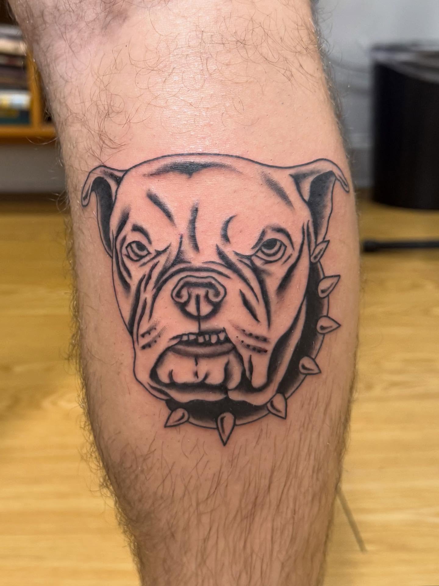 Bulldog head realism tattoo on the forearm by 𝕯𝖗𝖆𝕶𝖊㋛
