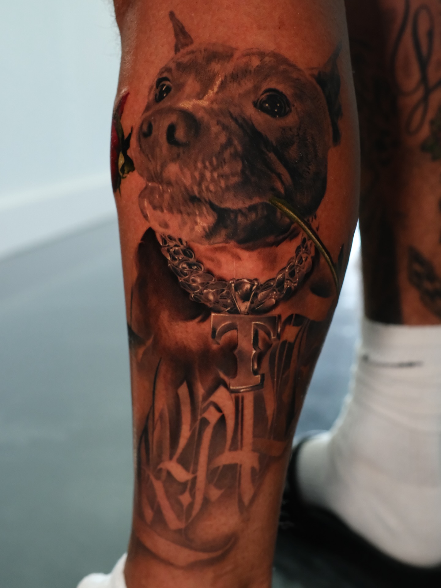 Pitbull realism tattoo on the forearm by Josy Castro