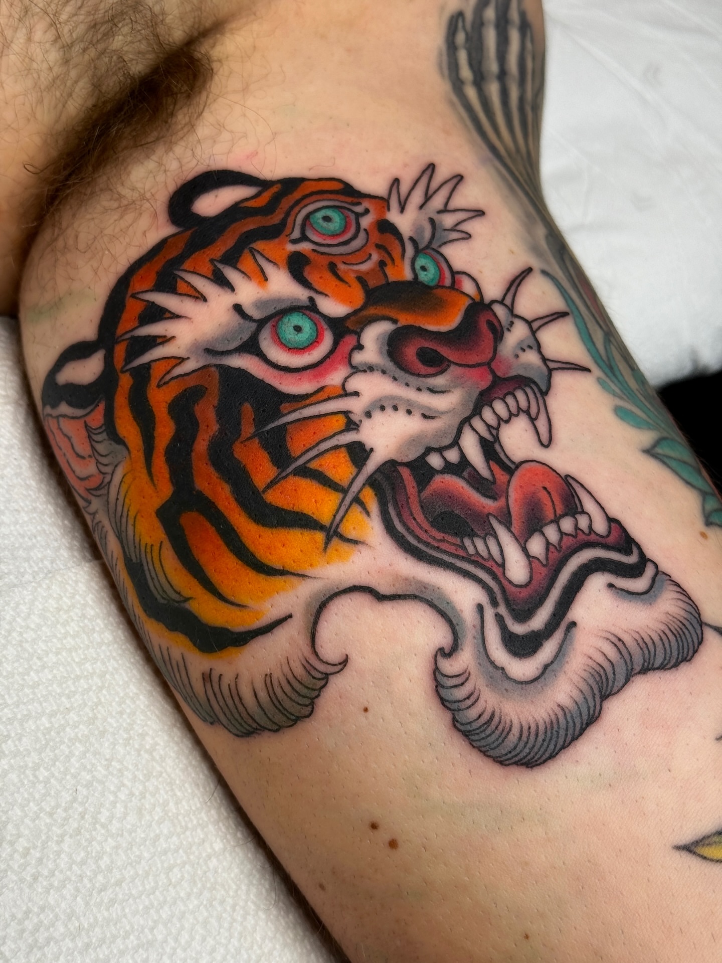 Tiger American traditional tattoo on the shoulder by Tattooer by Trade Wannabe Artist at Heart