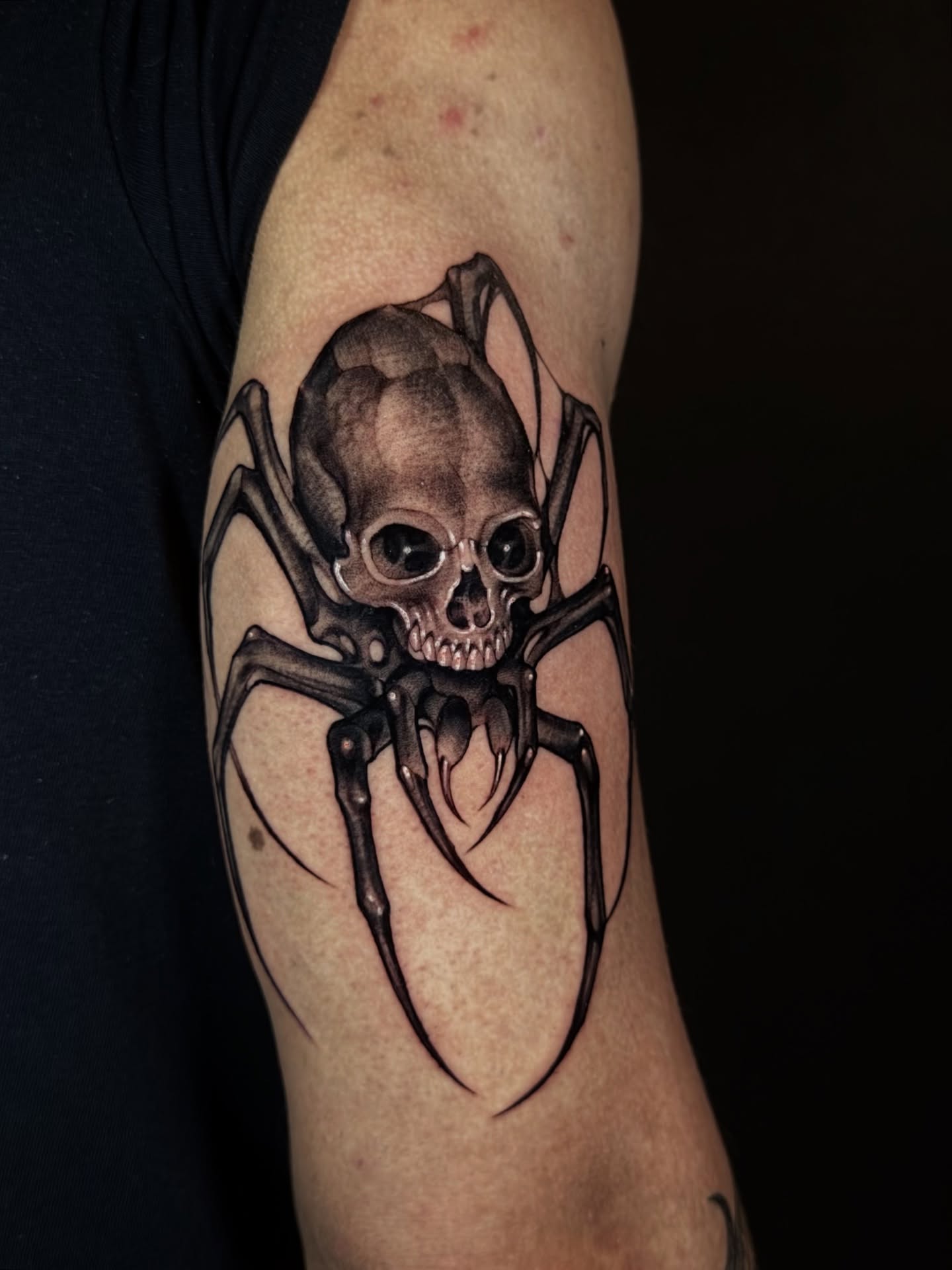 Spider skull realism tattoo on the forearm by Tattoos.byDahlia, Austin, Texas