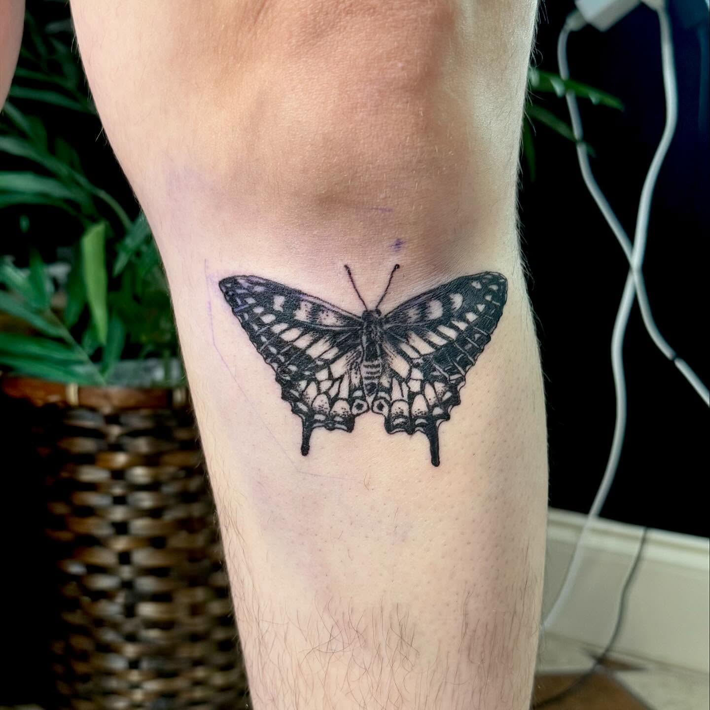 Butterfly black and grey tattoo on the forearm by Nina Rush