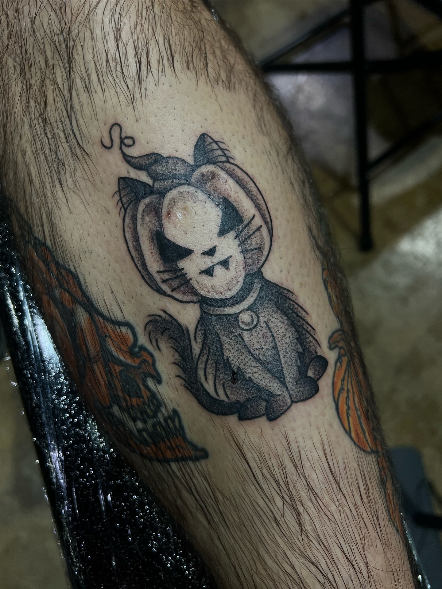 Cat black and grey tattoo on the forearm by ∙︎✢︎ Rach K ✢︎