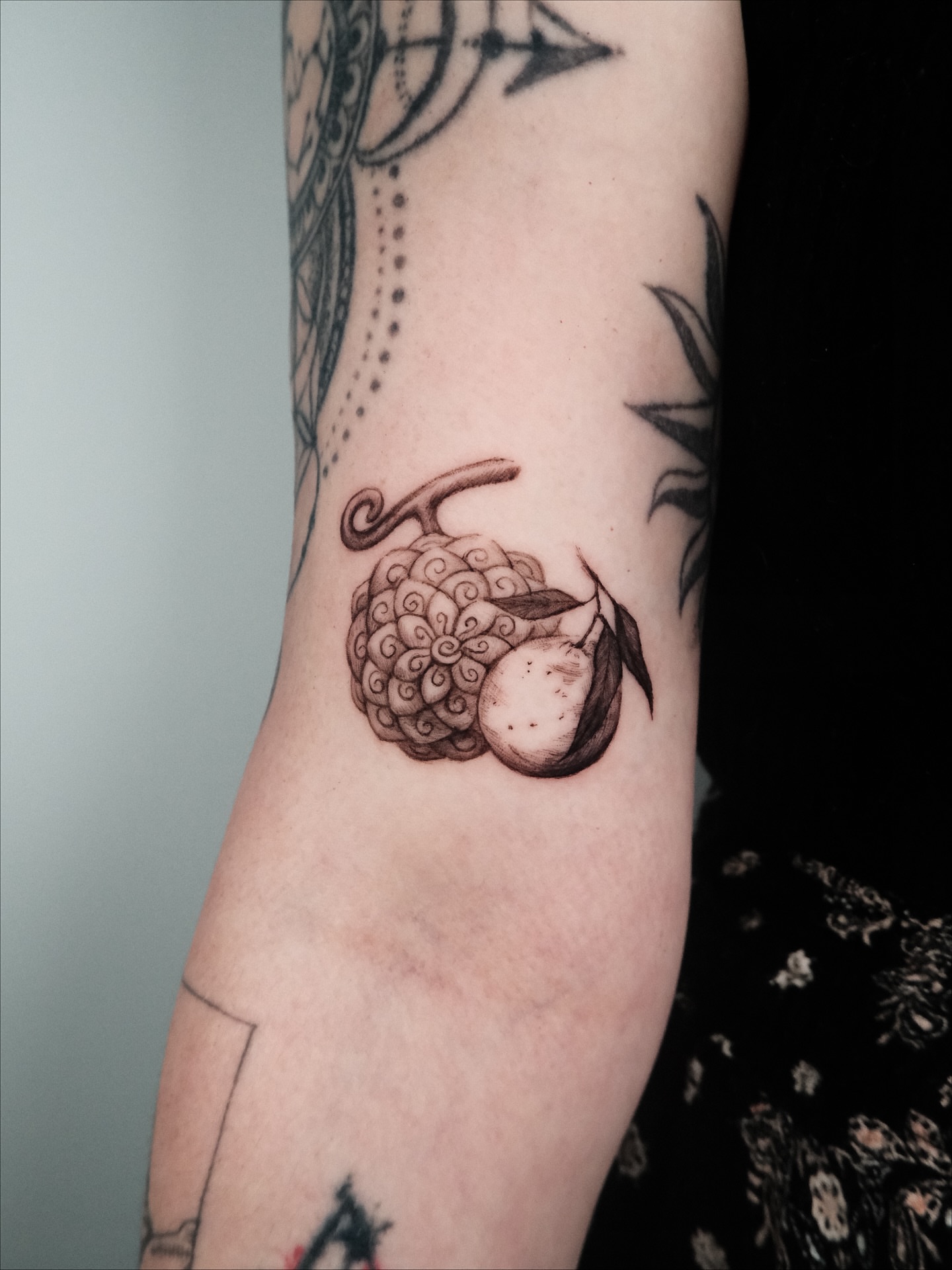 Pinecone and acorn dotwork tattoo on the forearm by HanaKaki