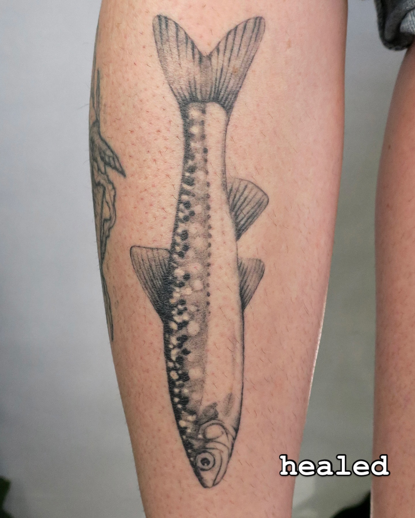 Tattoo by @cowgurl_bebop — dotwork