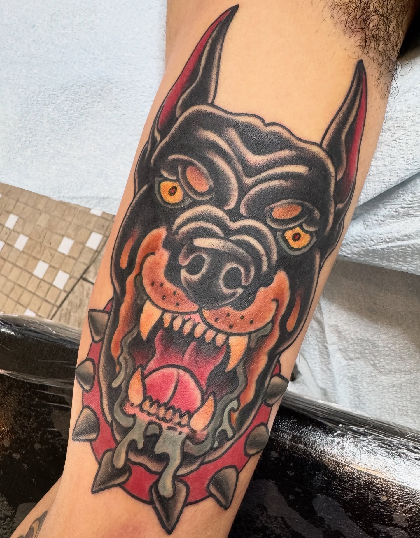 Demon dog American traditional tattoo on the forearm by Cary Aldridge