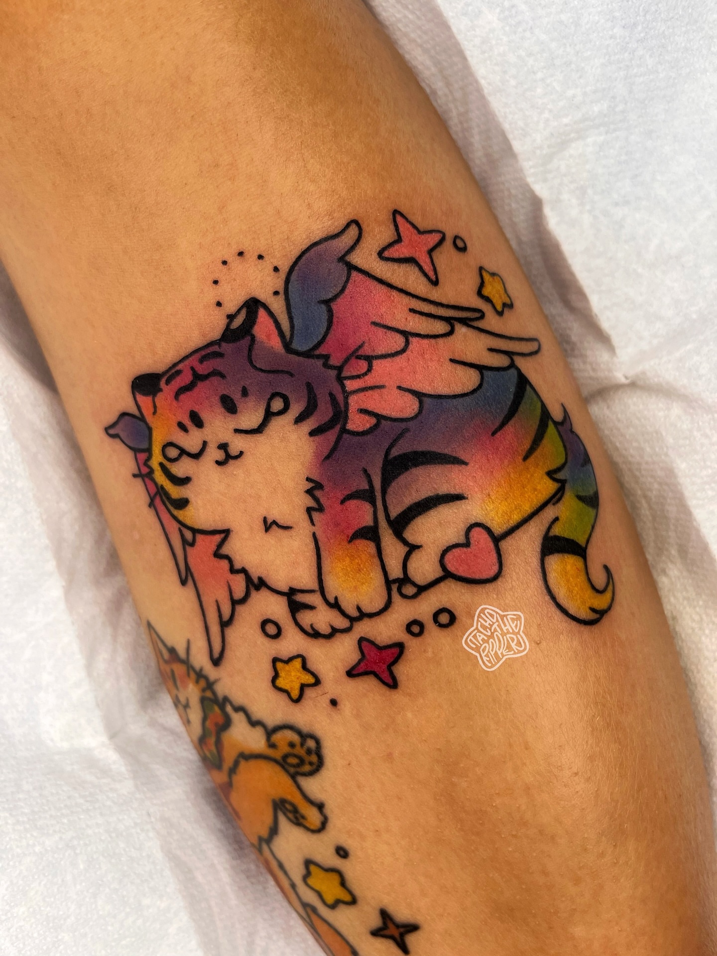 Tattoo by @tachotheripper — new_school, watercolor