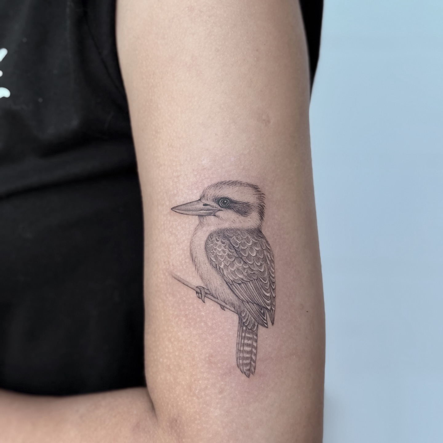 Kookaburra black and grey tattoo on the forearm by Marisa Martello, Nashville, Tennessee