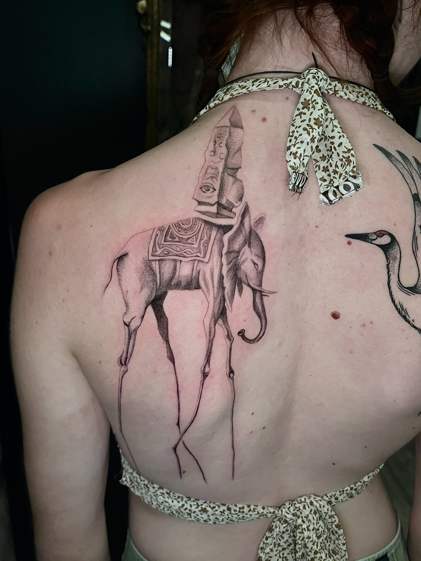 Elephant and bird black and grey tattoo on the back by Samantha
