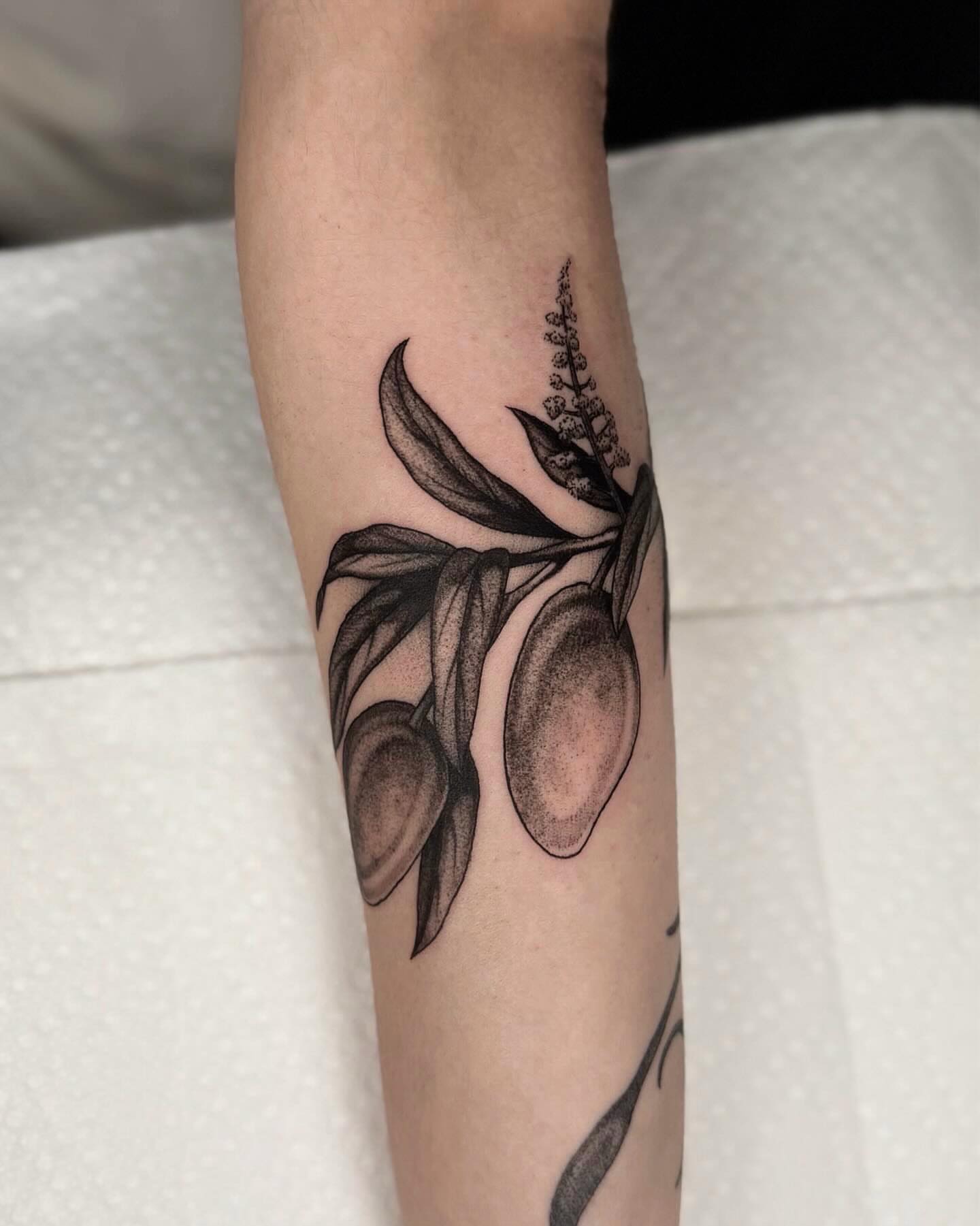 Olive branch dotwork tattoo on the forearm by jada